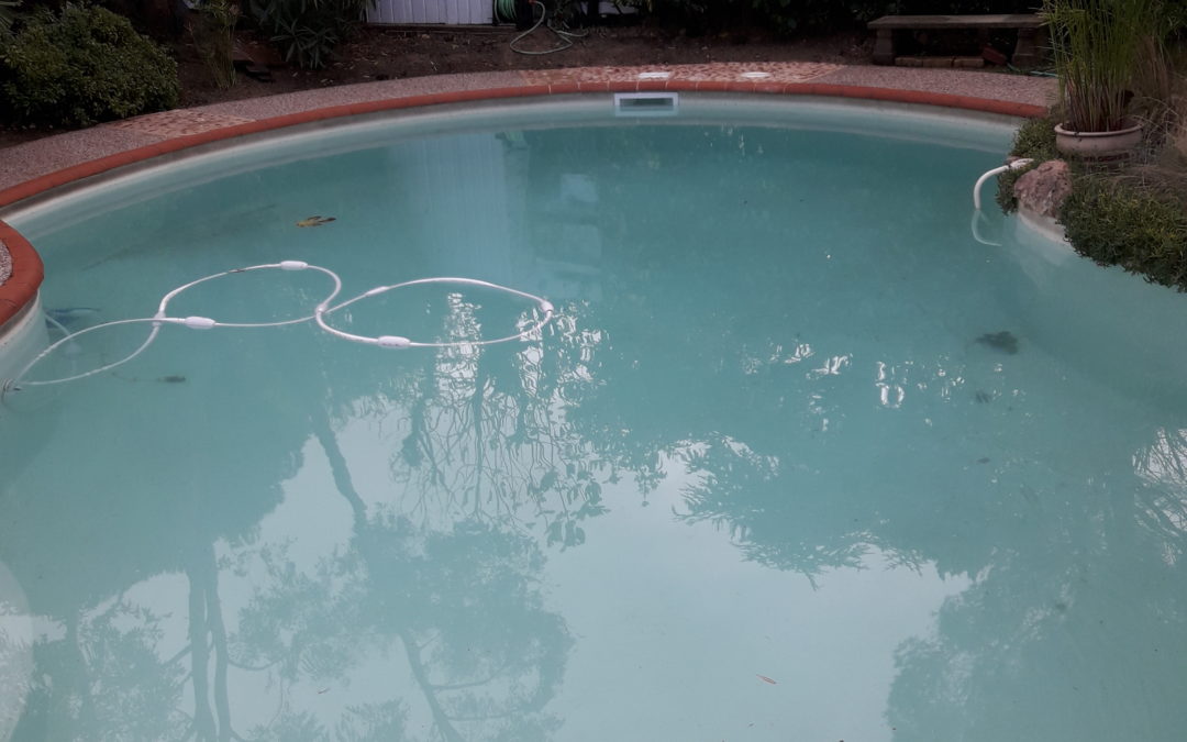 Rénovation piscine à Toulouse 31